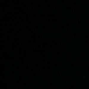 Meet your Posher, Seanne